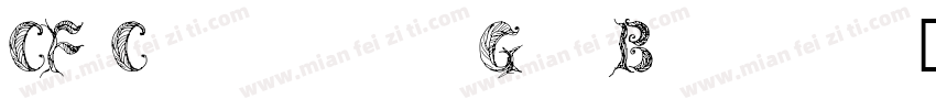 CF CritonGr Bold字体转换